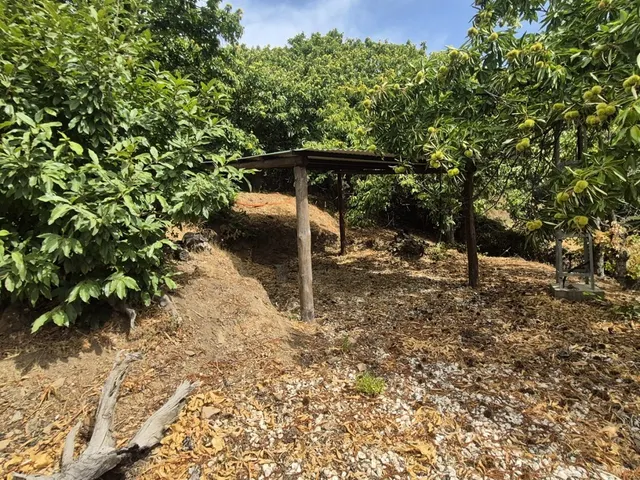 Casa-Chalet en Venta en Jubrique Málaga — 75
