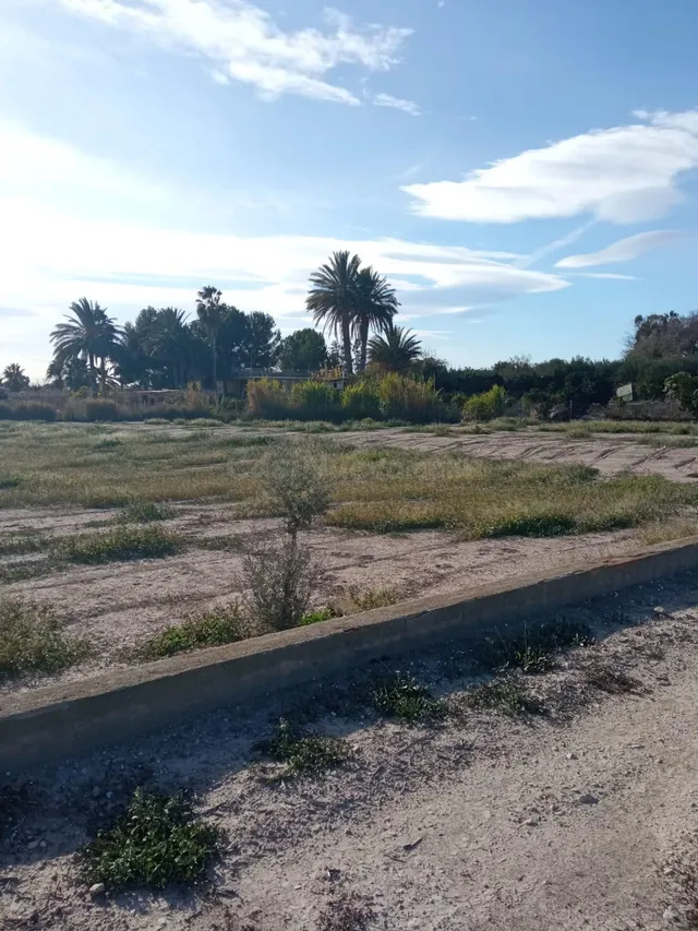 Parcela rústica ubicada a solo 12 km del centro de Alicante  - foto 5