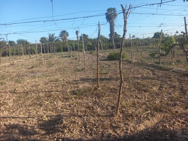 Se vende parcel rústica. — 12