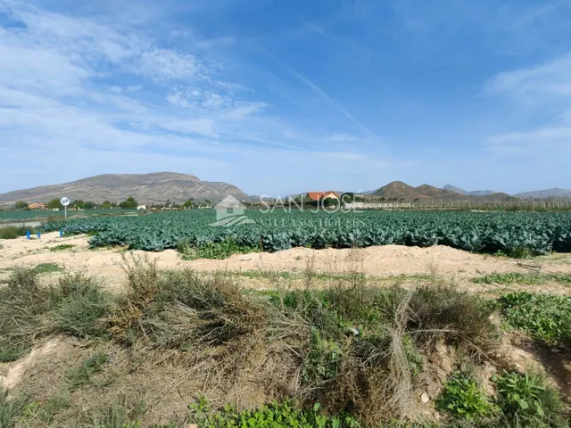 SE VENDE TERRENO RURAL EN MONFORTE DEL CID EN EL CAMINO SAN VICENTE — 5