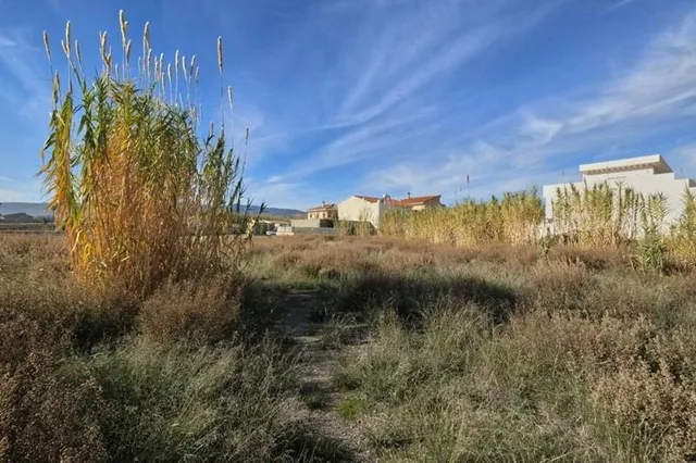 Gran parcela en Padul — 19