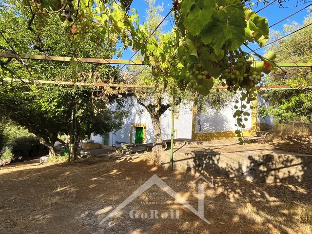 Suelo rústico en Venta en Constantina Sevilla — 29