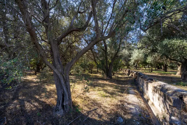 FINCA RUSTICA EN LA VEGUETA, PINOS DEL VALLE!! — 16