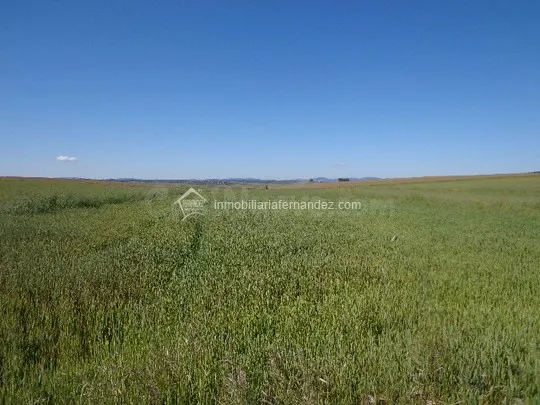 Terreno rural en venta - SIERRA DE FUENTES