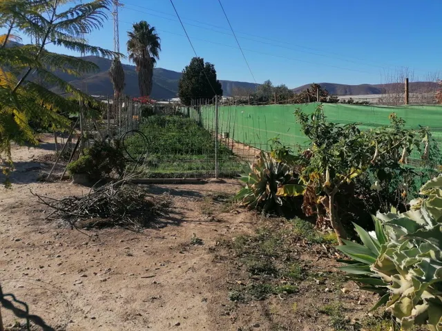 Cortijo con terreno - foto 2