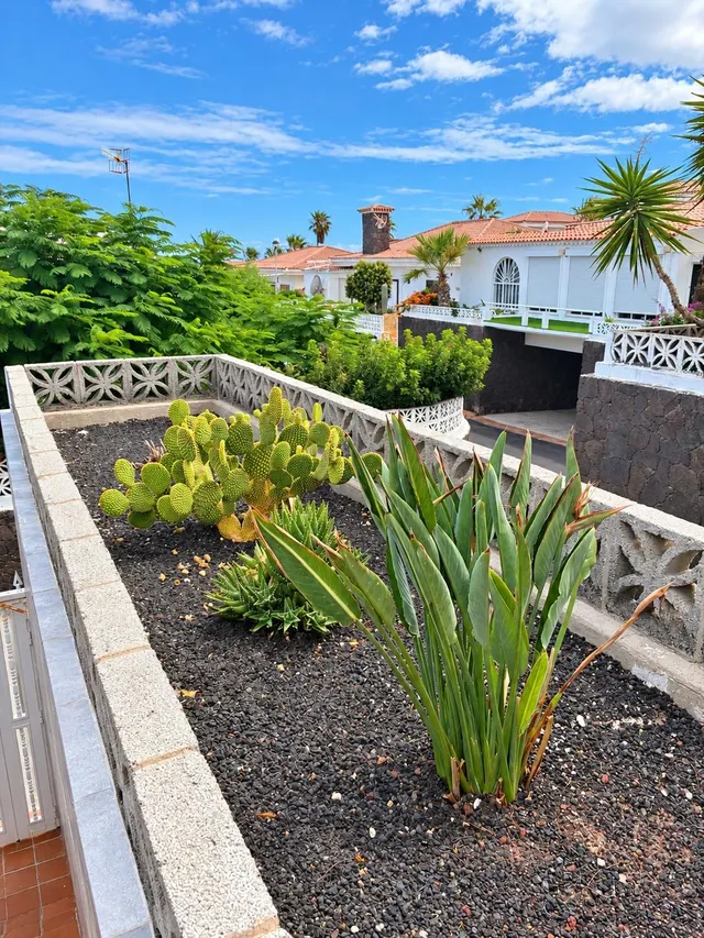 Casa independiente con vistas al mar y al Teide, garaje doble y piscina comunitaria — 22
