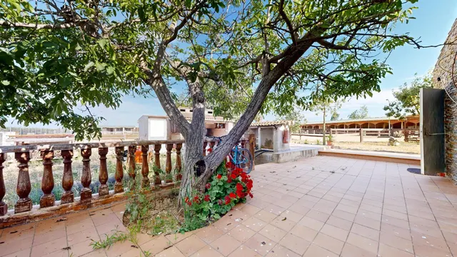 Rancho en Carlet — 38