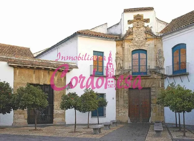 MAGNIFICA CASA DE 414M2 EN CASCO HISTORICO, 3 FINCAS INDEPEN