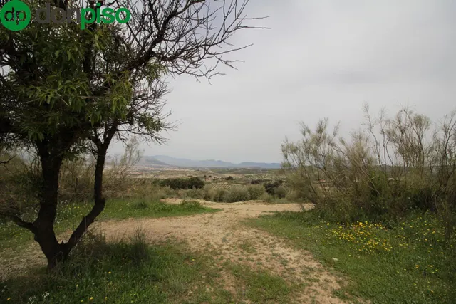 FINCA EN CORTIJO SAN JERÓNIMO (BARTODANO) — 32