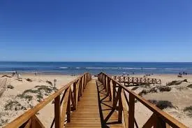 Estudio en La Mata, piscina comunitaria, en Torrevieja — 3