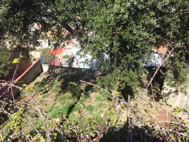 PARCELA EN ROSAS ZONA GRECS - foto 4
