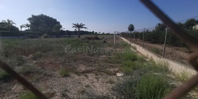 Terreno rural en Elche, 12000 m2 — 3