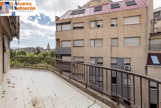 Pisazo en paseo del salón - Granada — 32