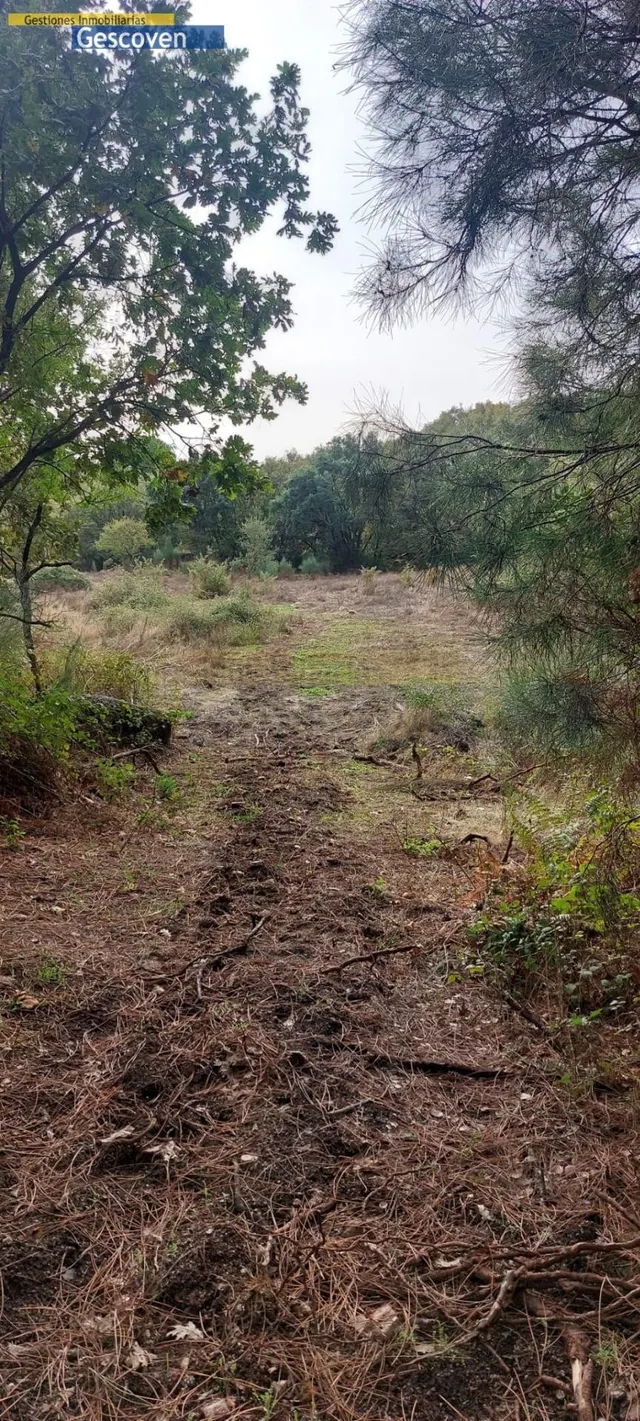 MARAVILLOSA FINCA CON POSIBILIDAD DE EDIFICAR - foto 3