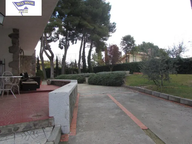 CHALET CON 2000 M2 DE PARCELA — 25
