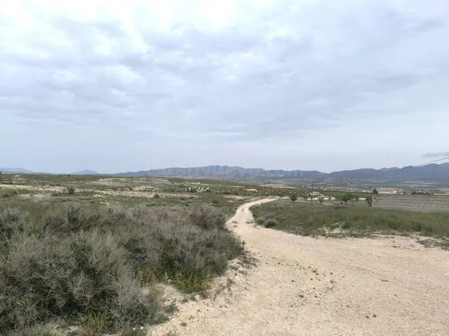 Finca de Recreo 8 habitaciones 368m² en venta - Jumilla - foto 5