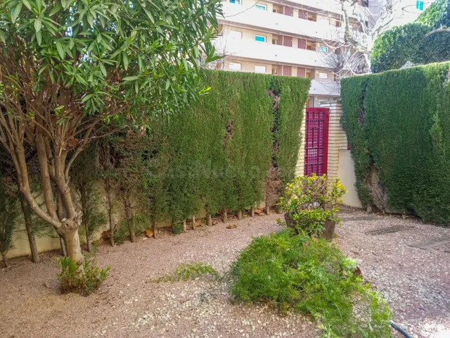 Apartamento 1 habitación 85m² en venta - Albir — 4
