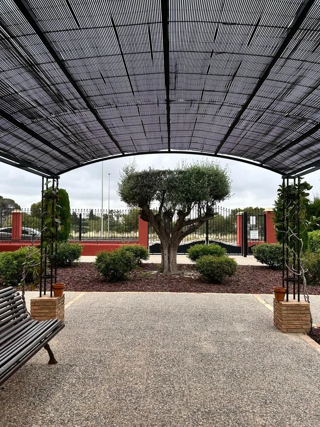 Lomas cabo roig 2 habs dando a piscina + garaje 219.900 — 13