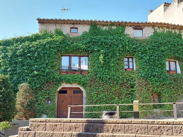 Al cor de Verges 496 m2 — 9