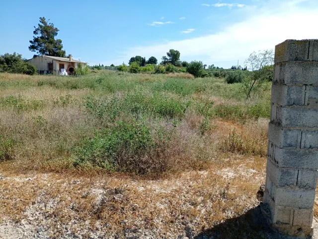 Terreno en Lorqui, La arboleda - foto 2