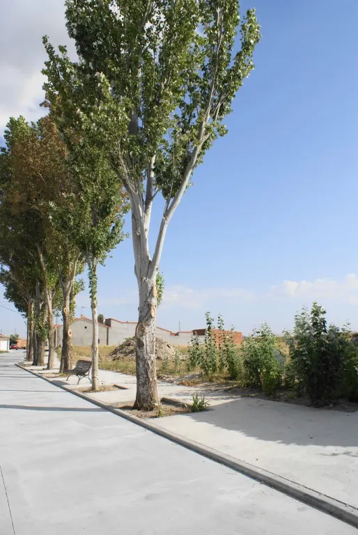 Solar urbano en Venta en Oso, El Ávila — 2