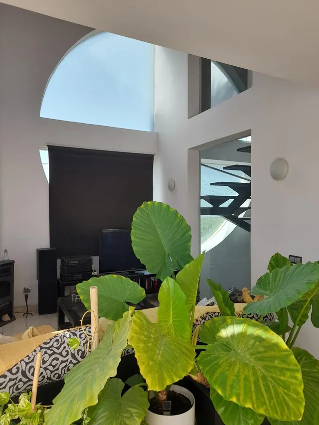 CHALET MODERNISTA EN PARTIDA LA RAMBLETA CREVILLENTE — 13