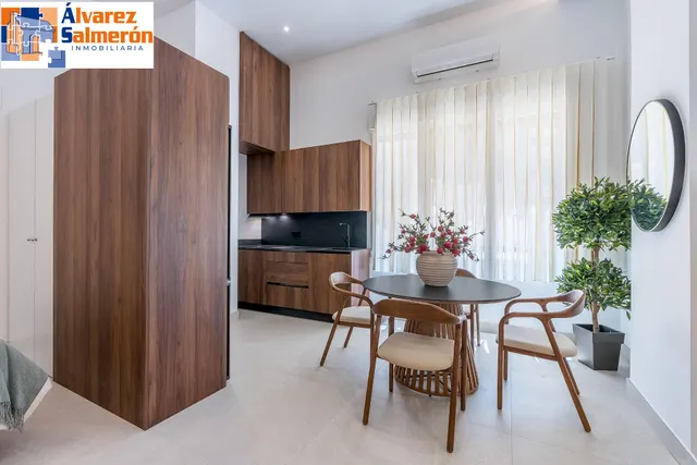 PRECIOSO ESTUDIO DE LUJO EN URBANIZACION TRIUNFO JARDIN — 14