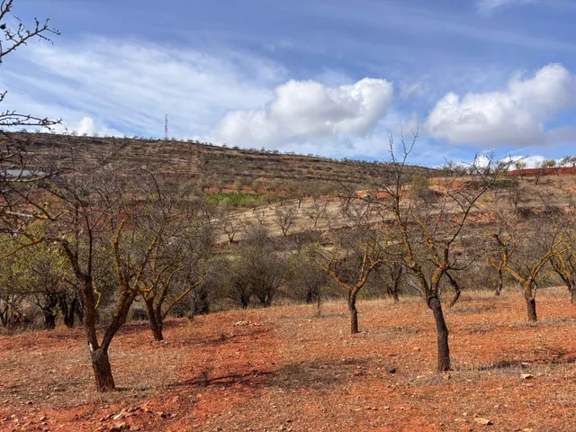Fincas Rústicas en Nigüelas, Granada — 10