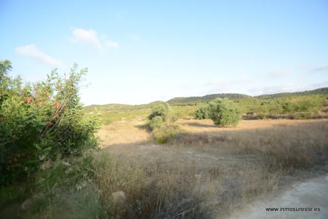 Terreno rústico de secano en la pedanía de Torremendo, Orihuela. 17.000 m2. de superficie. — 12