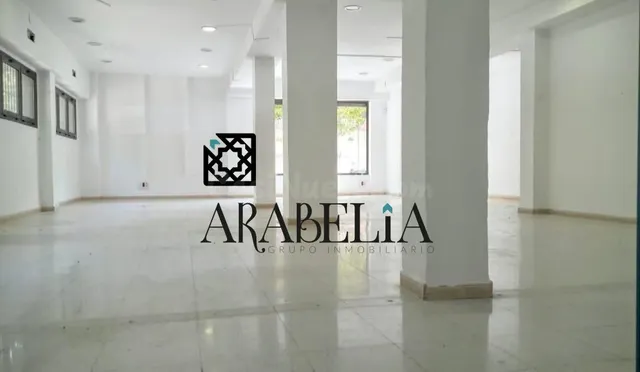 LOCAL COMERCIAL AVENIDA GRANADA - foto 3