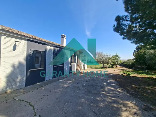 ¡PARCELA CON VIVIENDA Y ÁRBOLES FRUTALES EN SIERRA DE FUENTE - foto 2
