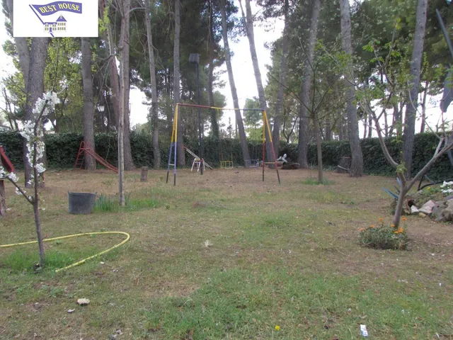 CHALET CON 2000 M2 DE PARCELA — 33