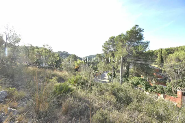 TERRENO CON BUENA ORIENTACIÓN Y VISTAS EN MAS MESTRE — 16