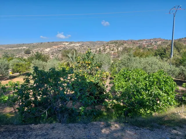 Se vende parcela con casa cueva - foto 4