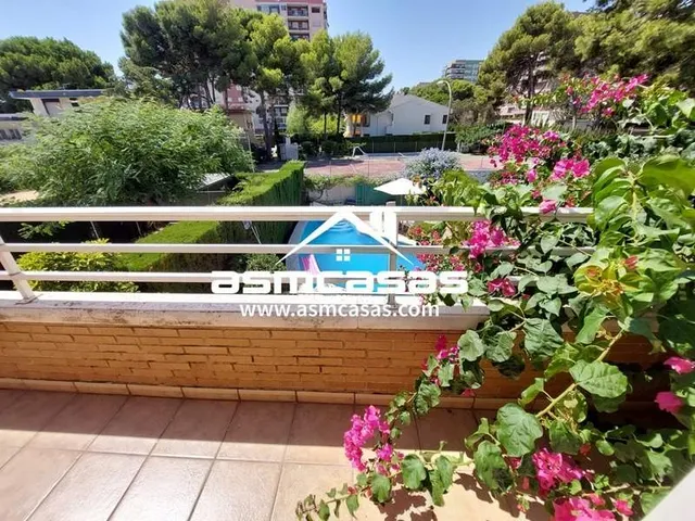 Se alquila pareado en zona de torreón — 32