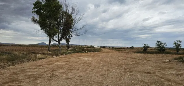 Terreno rural 248m² en venta - Sucina