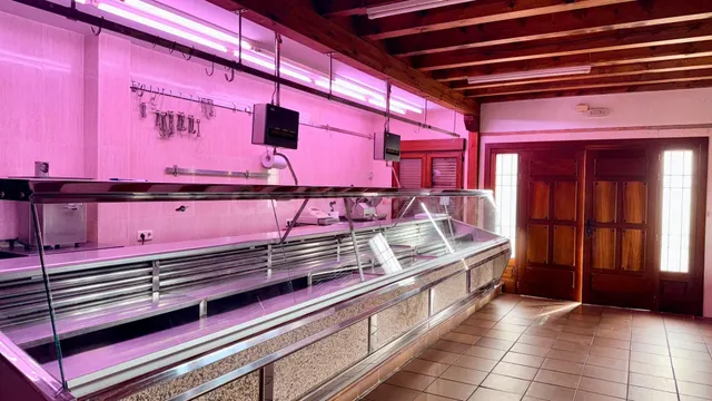 Tienda y fábrica de carne y embutidos en venta. Ref.2086 — 2