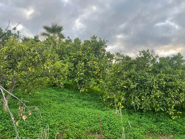 PRECIOSA FINCA RUSTICA CON ESPECTACULARES VISTAS — 15