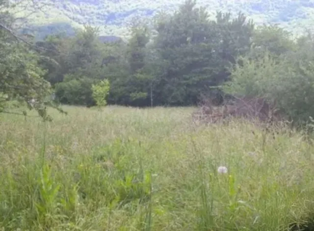 Terreno rural 3930m² en venta - Northern spain