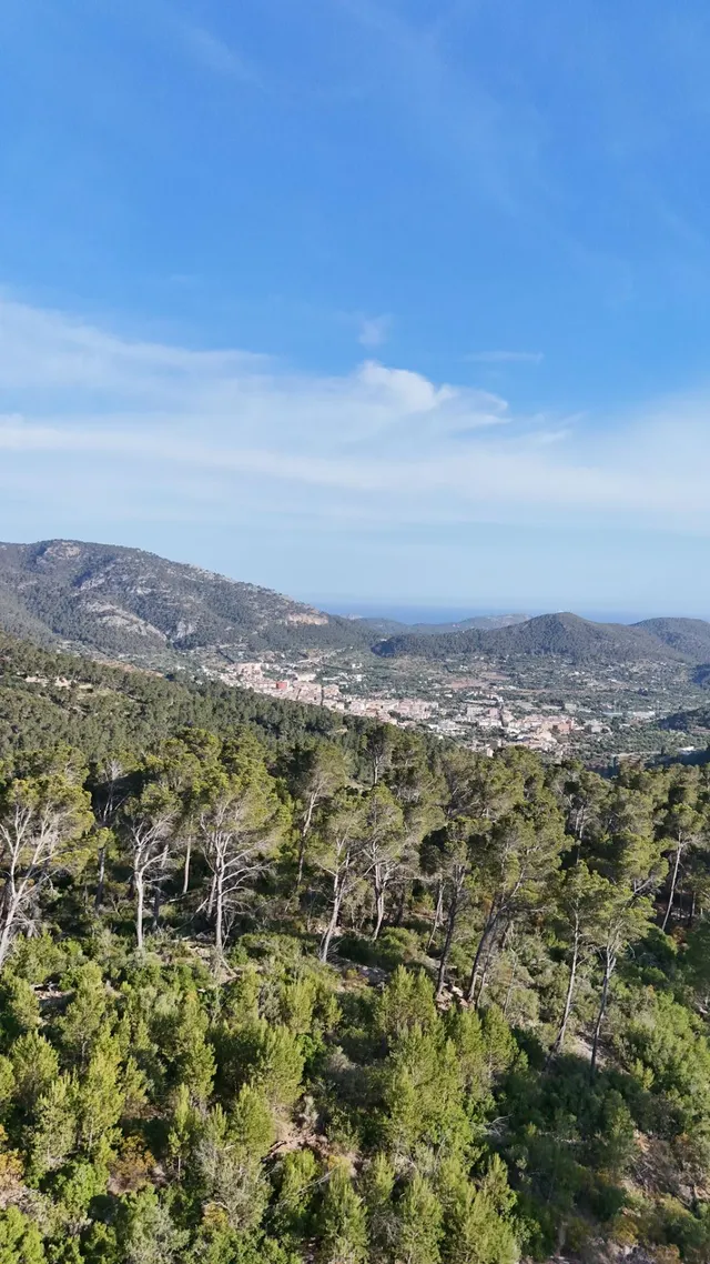 Terreno Rústico de 12.240 m2 en S’Arracó (Andratx) | Vistas al Mar, Cueva Natural y Pago Aplazado — 12