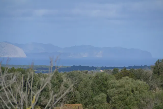 Finca rústica en Manacor — 15