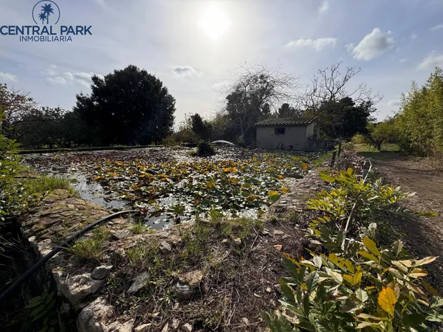 Gran Masia catalogada en Reus con gran extensión de terreno - Mas del Senan - Finca rústica en Reus. — 40