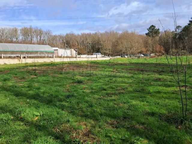 Casa con finca a 12 minutos de Ourense,Tamallancos. - foto 3