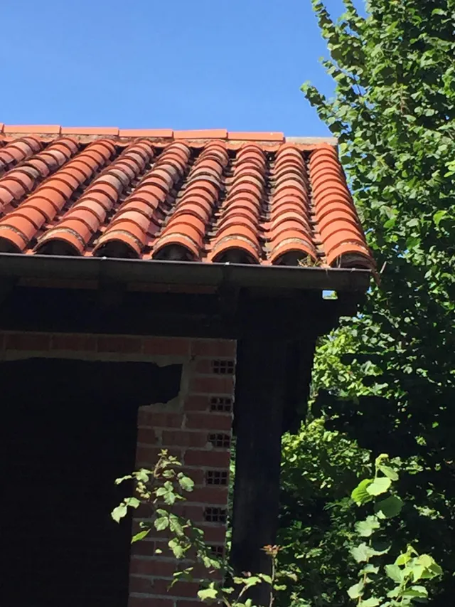 CABAÑA INDEPENDIENTE CON TERRENO EN RUENTE — 5