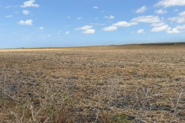 Oportunidad única: Finca rústica de 84.423 m2 en las afueras