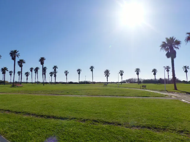 PISO EN COSTA BALLENA CON PISCINA, PADEL, GARAJE Y TRASTERO — 34