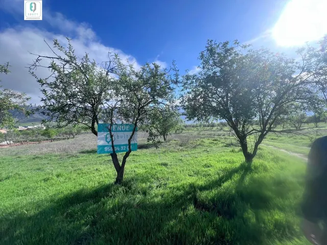 TERRENO RUSTICO EN PADUL — 3