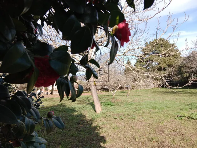 FINCA EDIFICABLE CAMPOLONGO-PONTEDEUME — 15