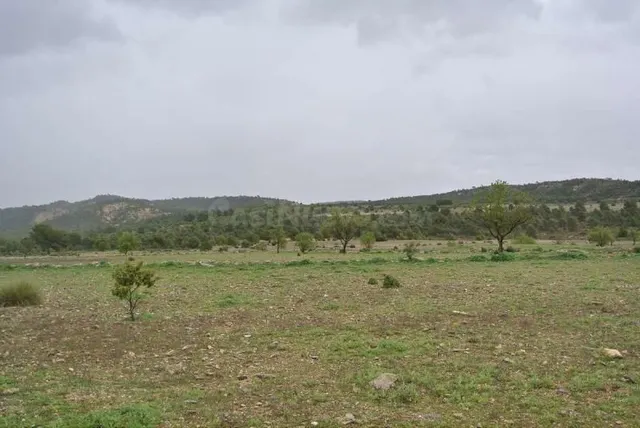 Parcela en venta - Ayuntamiento - foto 5