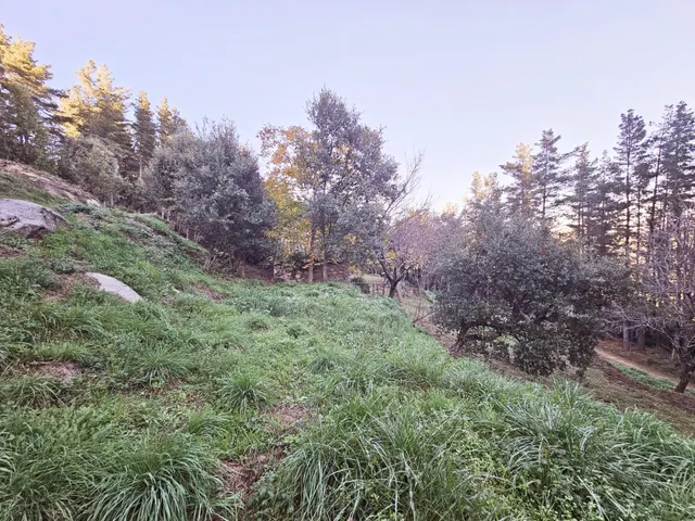 Parque natural del montseny (afueras riells): masía típica catalana catalogada a reformar — 44